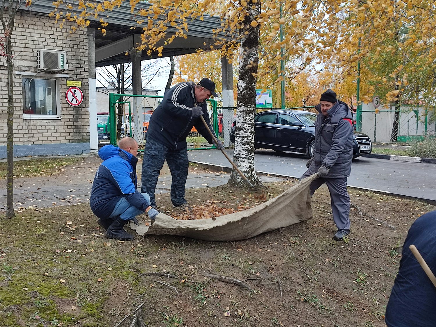 Дружно, вместе, с оптимизмом Дружно, вместе, с оптимизмом